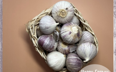 Meine aktuelle Lieblings-Verpackung